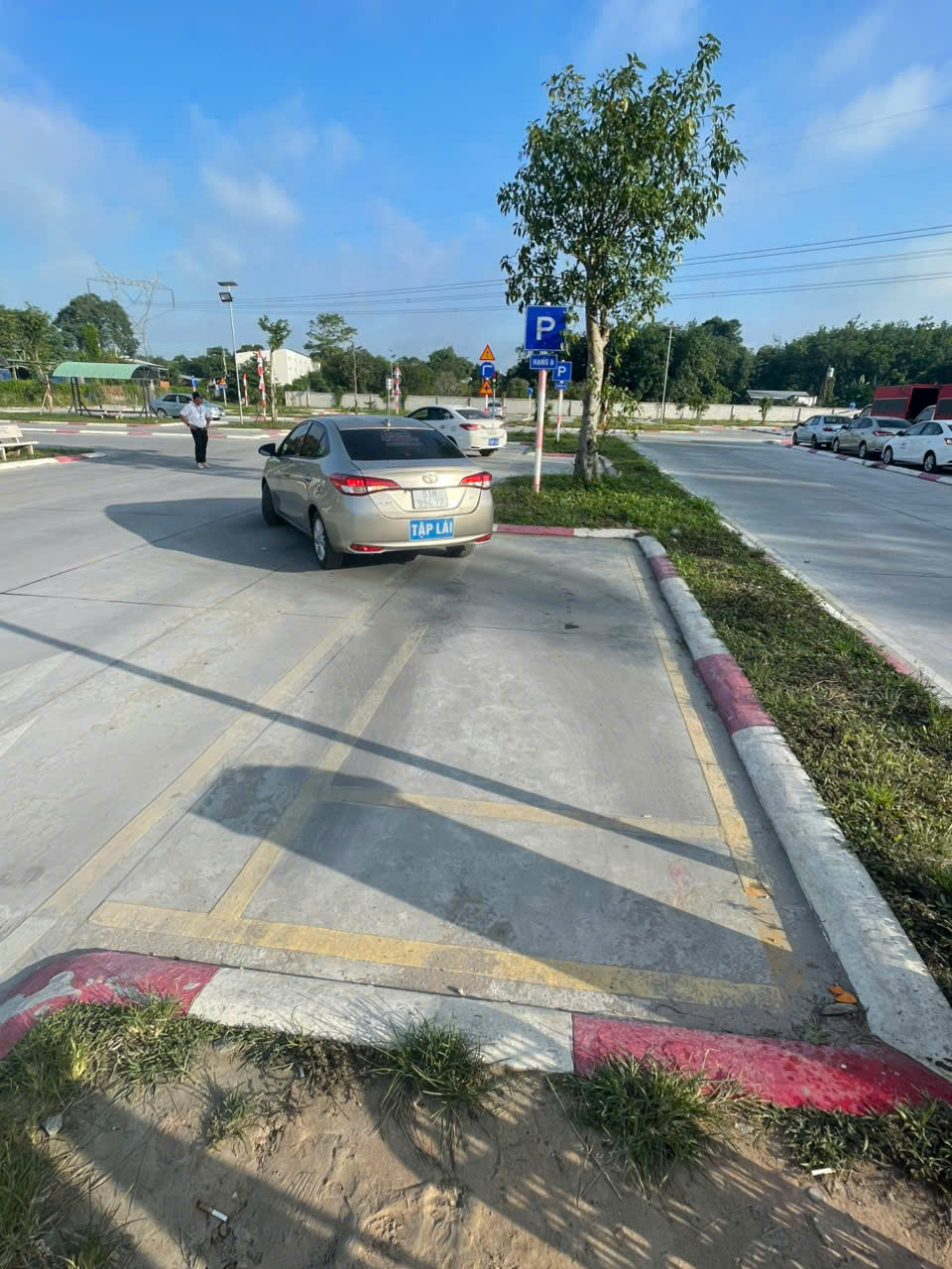 Hình ảnh hoạt động