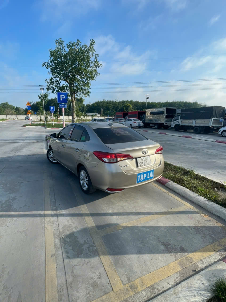 Hình ảnh hoạt động